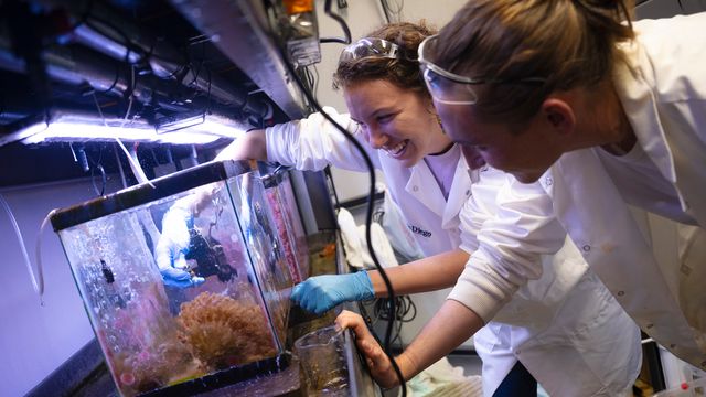 Two researchers looking into a tank.
