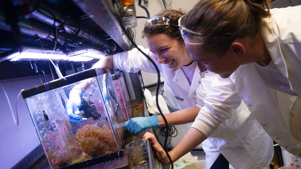 Two researchers looking into a tank.