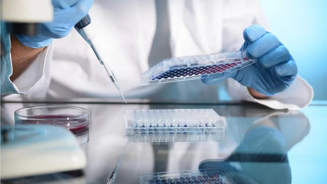 Researcher in a lab using a pipette and 96-well plate for cell culture or assay analysis, highlighting hands-on lab work