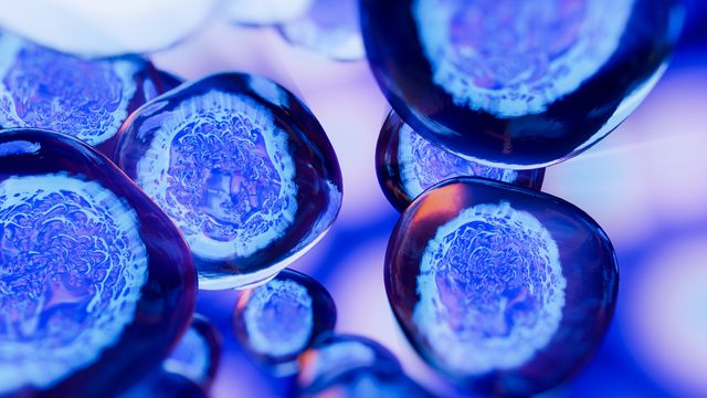 Collection of blue cells on a pink and white background.