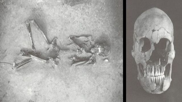 Human remains from the Yayoi period, approximately 2,300 years ago, from which DNA was extracted.
