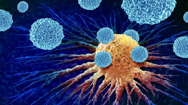 Macrophages attacking a cancer cell