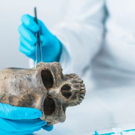 An image of an archaic skull.  