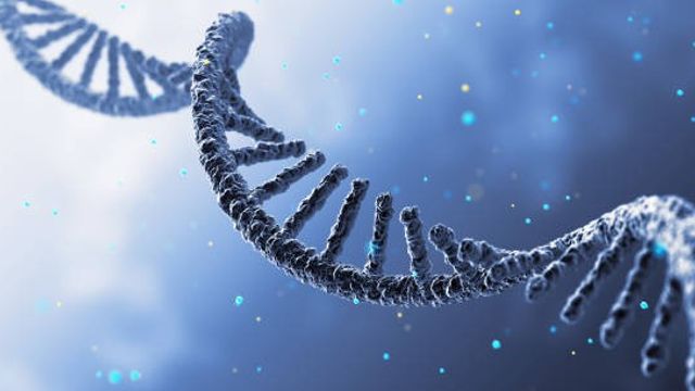 RNA