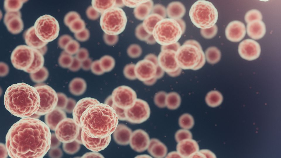An illustration of numerous cancer cells floating against a dark background.