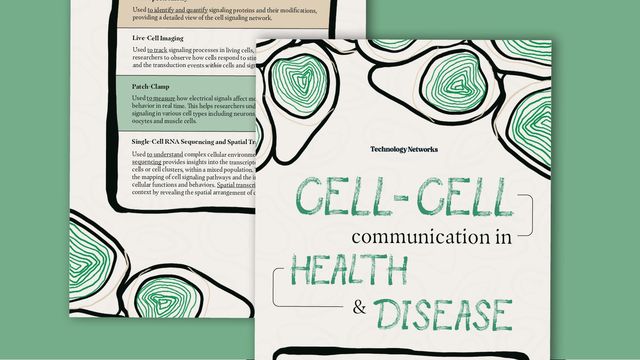 picture of Infographic on a green background