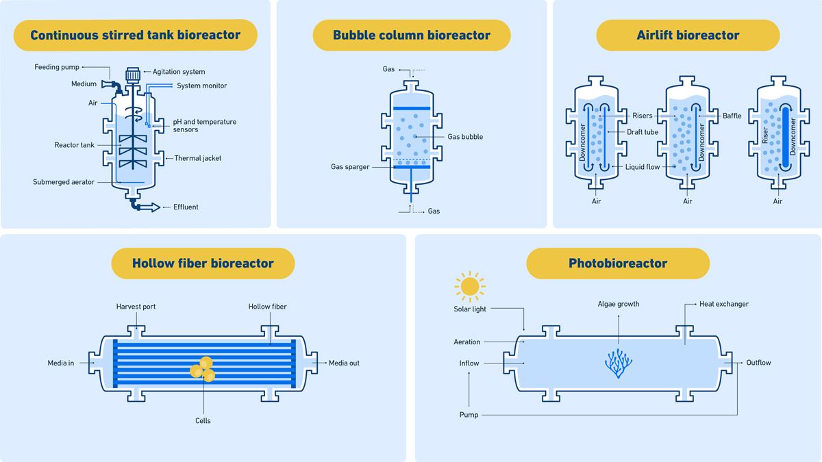Figure 2. The five most common types of bioreactor used in bioprocessing. Diagrams of five of the most common types of bioreactor: continuous stirred tank, bubble column, airlift, hollow fiber and photobioreactor