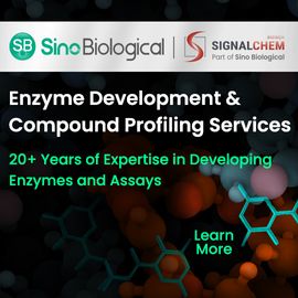 Enzyme, Compound Profiling, Assays 