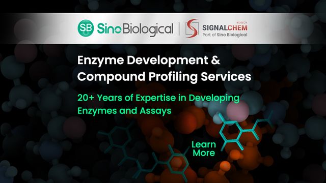 Enzyme, Compound Profiling, Assays 