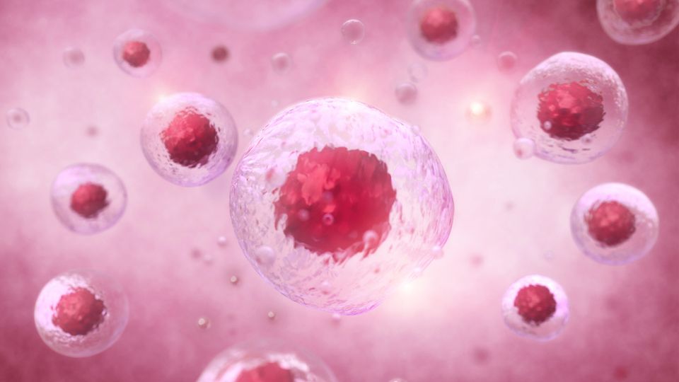 Floating cells on a pink background.