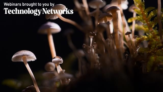 Psychedelics webinar  