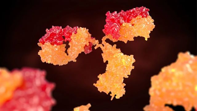 Floating orange and red antibody
