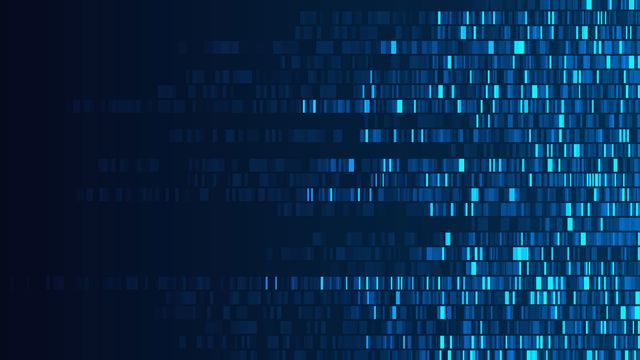 A Genome sequence map.