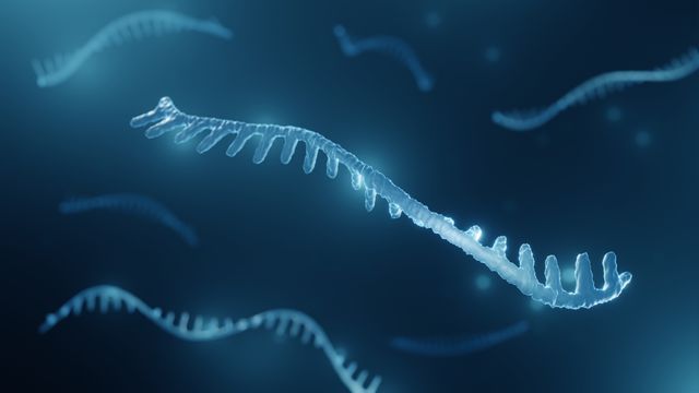 RNA