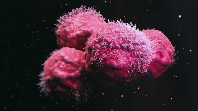 Cancer cells.