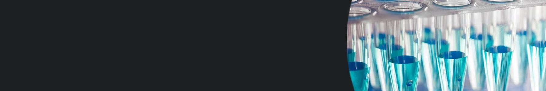 Micro centrifuge tubes containing blue liquid in a PCR rack 