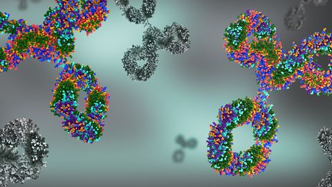 High-Plex Protein Detection To Support Therapy Development