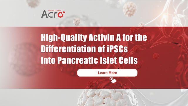 High-Quality Activin A for the Differentiation of iPSCs into Pancreatic Islet Cells 