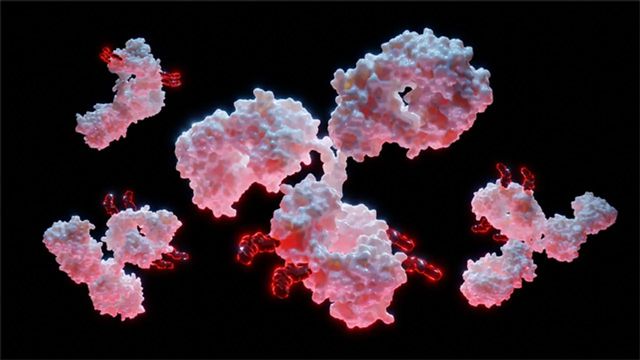Four floating white and red antibodies.