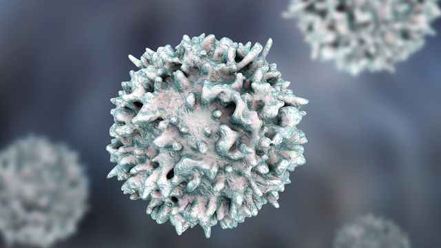 A blue and white stylized image of a T cell