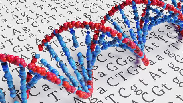 A page with the letters of DNA bases on with a DNA molecule on top.