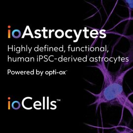 iPSC-derived astrocytes, human astrocytes, glial cells, opti-ox technology 
