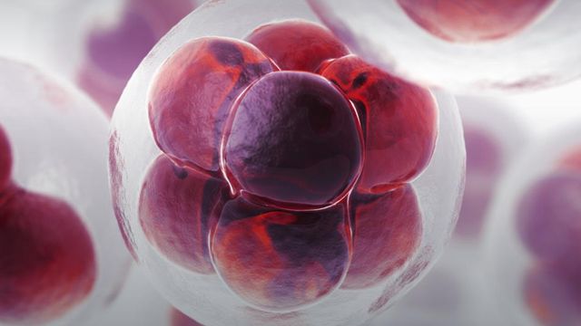 Making Single-Cell Proteomics Mainstream: Perspectives From Key Opinion Leaders content piece image