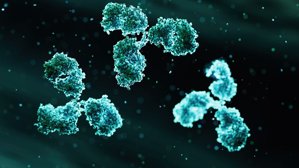 Three teal antibodies floating in front of a dark background.