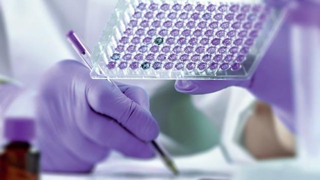 Science testing in lab with purple gloves