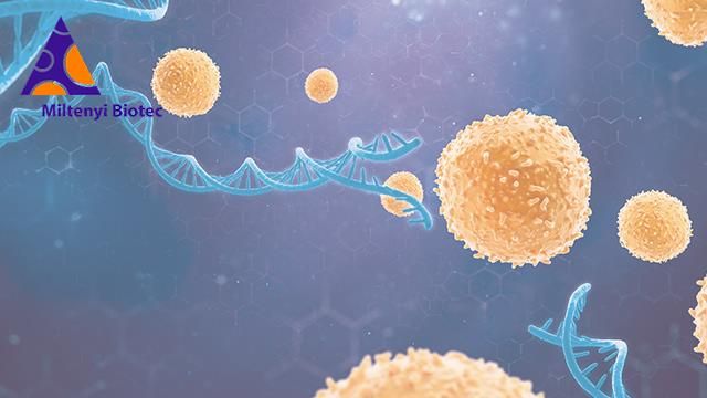 Orange cells against a blue background, with a bright blue strand of DNA. 