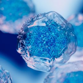 Representation of cells. 