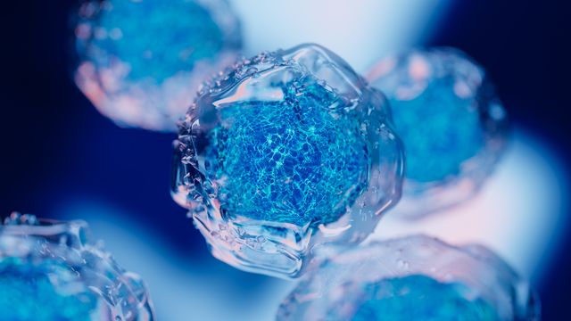 Representation of cells. 
