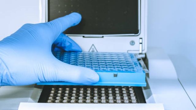 Research scientist putting test 96 well platte into real-time pcr machine stock photo
