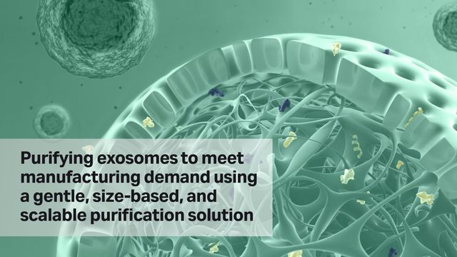 Microscopic view of exosome purification, illustrating a size-based, scalable method for meeting manufacturing demands.