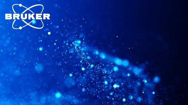 Blue sparkles across the screen, with Bruker's logo in the top left corner. 