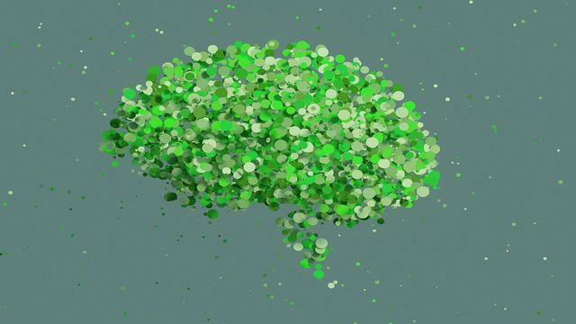 Brain made from leaves