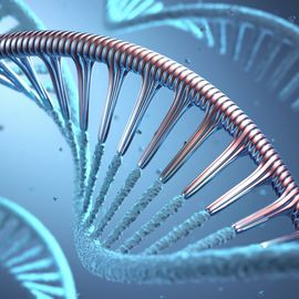 DNA 