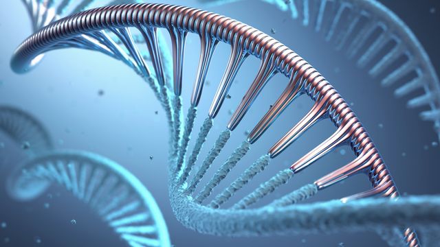 DNA