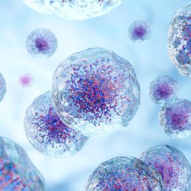 Cells with blue background 