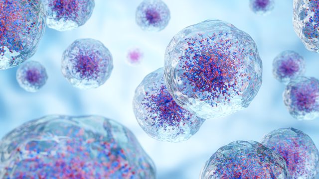 Cells with blue background