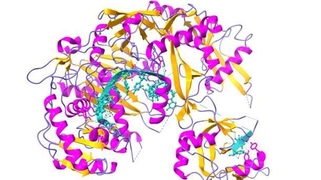 This image depicts a 3D molecular structure of a protein, with intricate spirals, helices, and strands in vibrant colors such as pink, yellow, and purple.