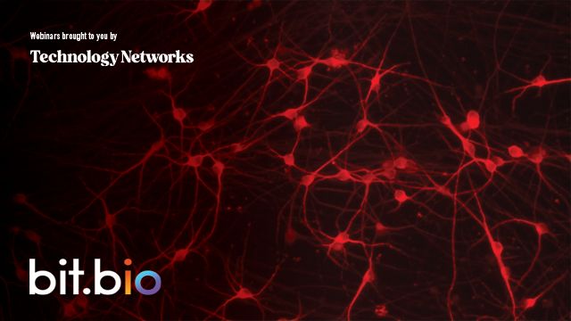 Images of the two speakers sit underneath the webinar title. To one side, red-labelled cells are shown.