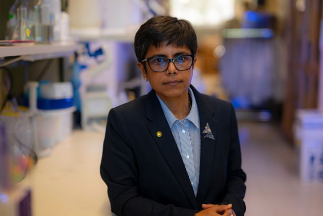 Head shot of Professor Pradipta Ghosh, MD