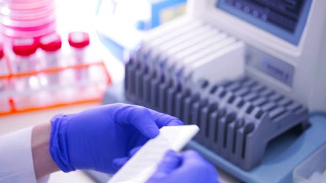 Scientist Handling Testing Kit with hands in protective gloves stock photo