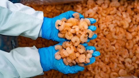 Rapid Extraction of Low Concentrations of PFAS in Food