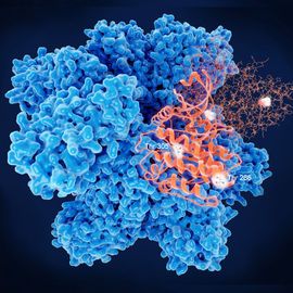 Recombinant Active Enzymes 