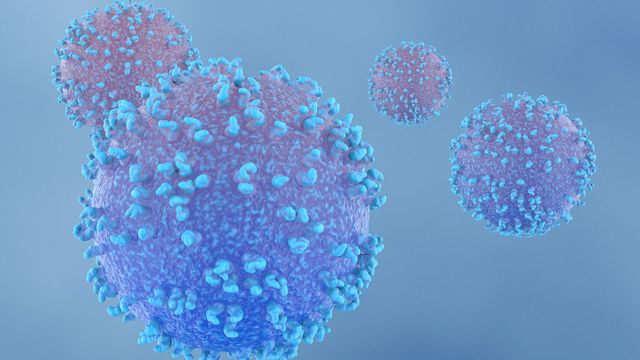 Restoring T Cell Function in Exhausted T Cells content piece image