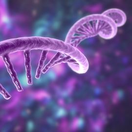 RNA Seq 