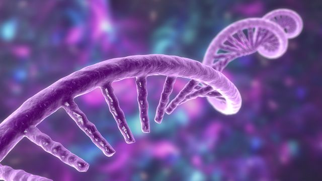 RNA Seq