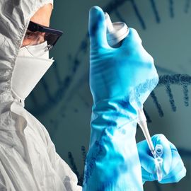 RNA Seq service, RNA Seq, RNA Sequencing, Single Cell RNA Sequencing, RNA Sequencing Companies, mRNA sequencing, RNA Seq analysis, RNA Seq price, Single Cell RNA Seq 
